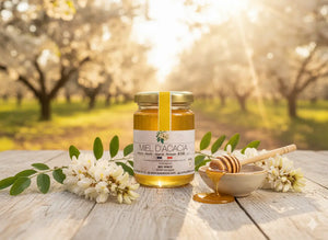 Miel d’Acacia : Un Nectar Délicat et Lumineux aux Douces Saveurs Florales BEE VENCE