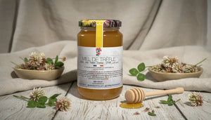 Miel de Trèfle : Un Nectar Doux et Floral des Prairies Fleuries BEE VENCE
