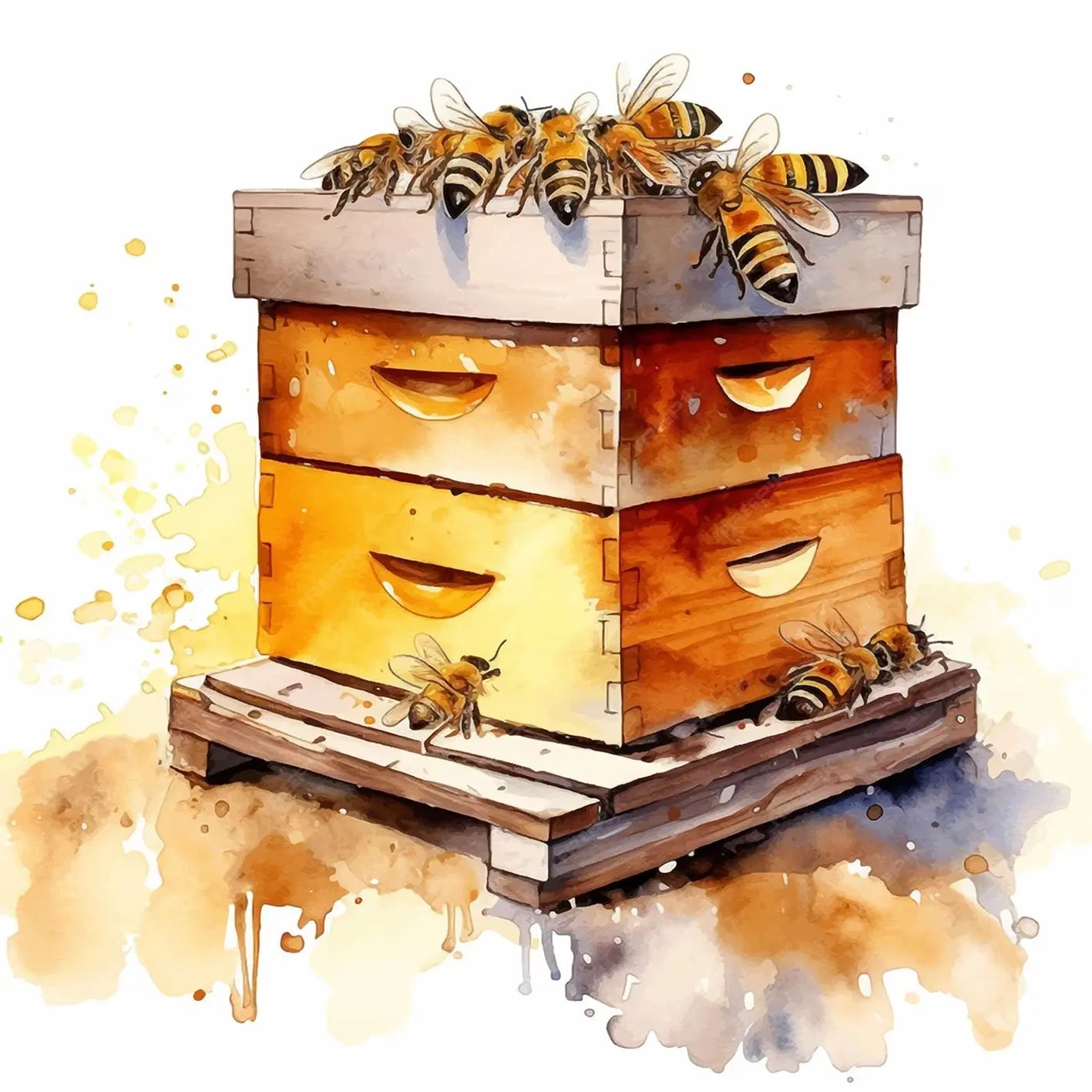 PRODUIT DE LA RUCHE BEE VENCE
